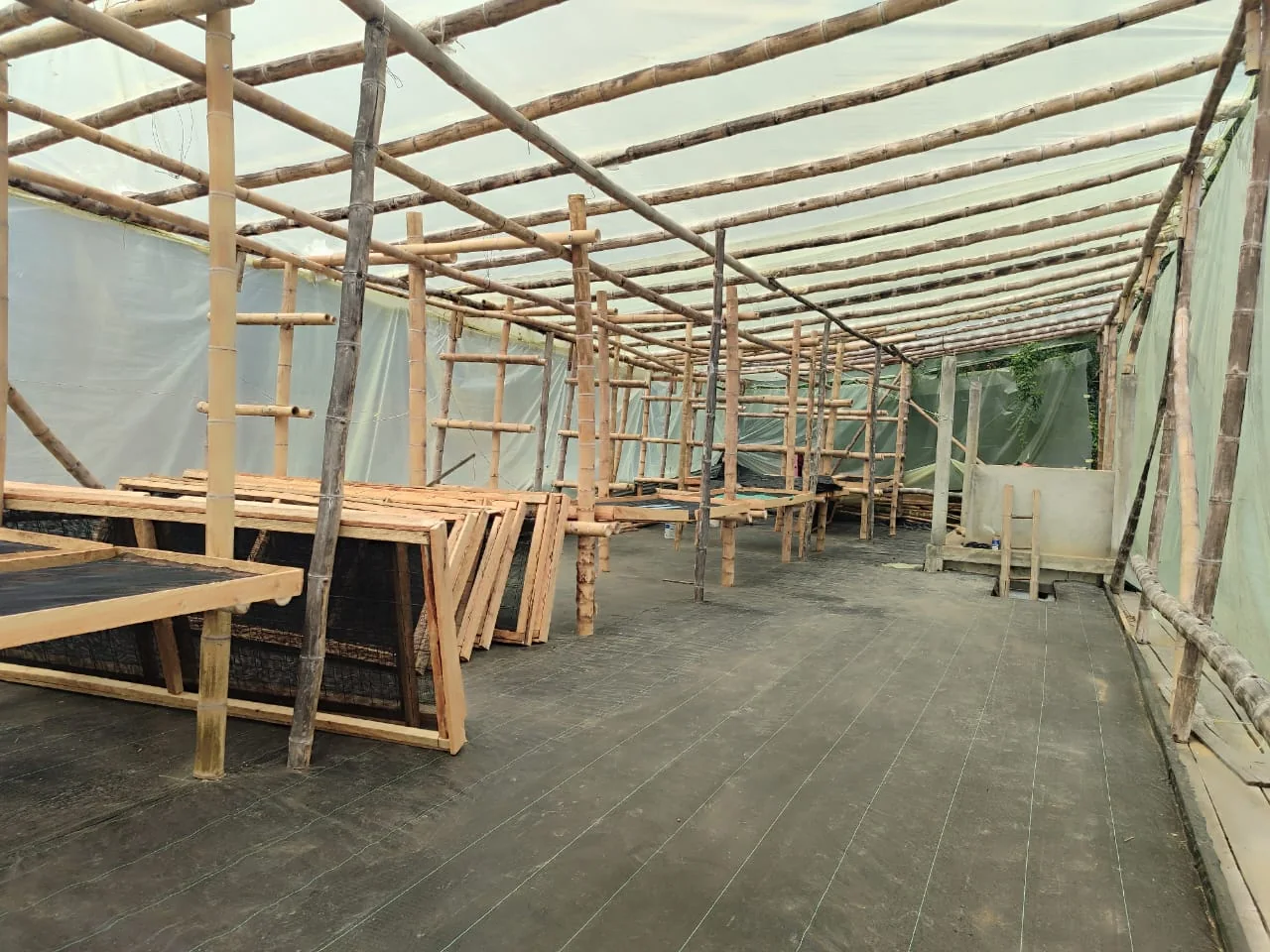 Coffee farm building process