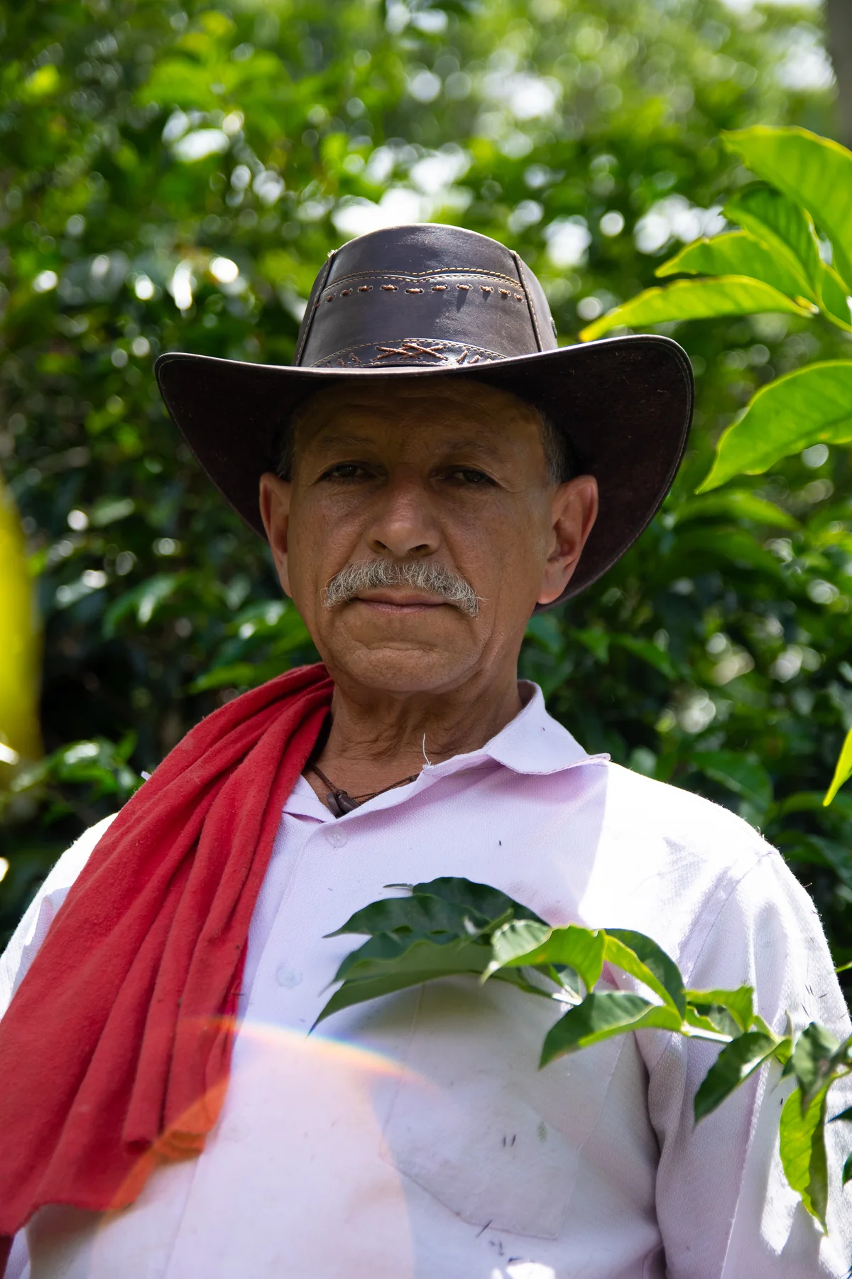 Caturra Chiroso farmer