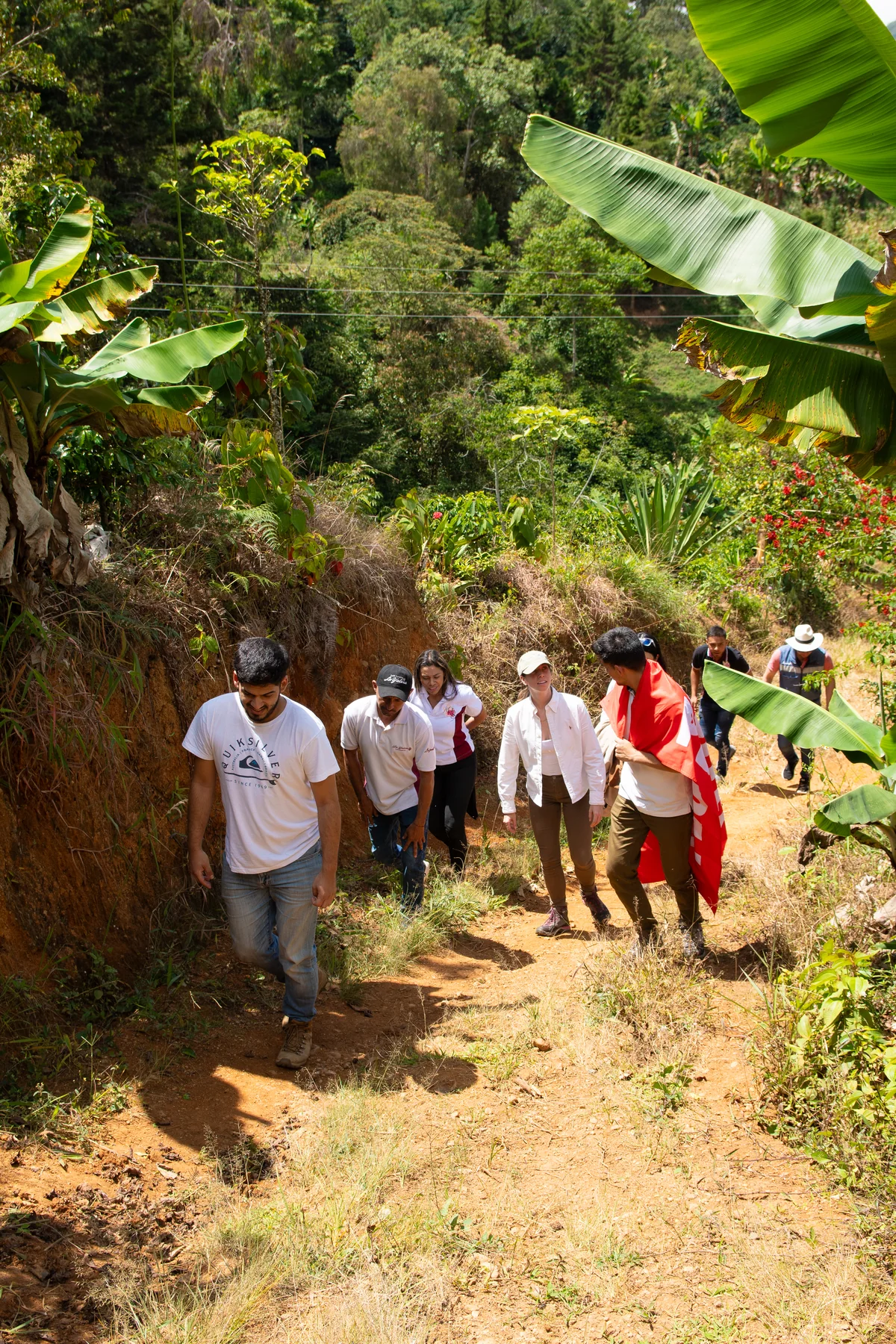 A day at the Coffee Chat coffee farm in Colombia